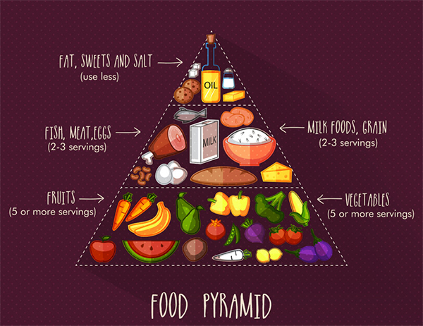 Food Pyramid